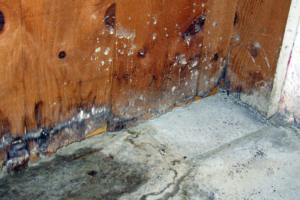 Water Damage |Public Adjuster Plantation